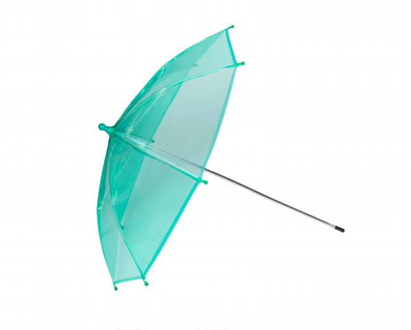 Pflanzenschutz-Schirm transparent 2 Stück